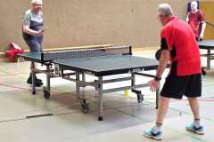 WhatsApp-Image-2026-02-16-at-15.16.55