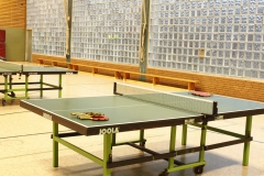 Tischtenniswoche 2016